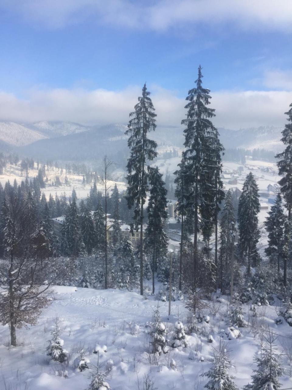 בוקובל Chalet Shepit Karpat מראה חיצוני תמונה
