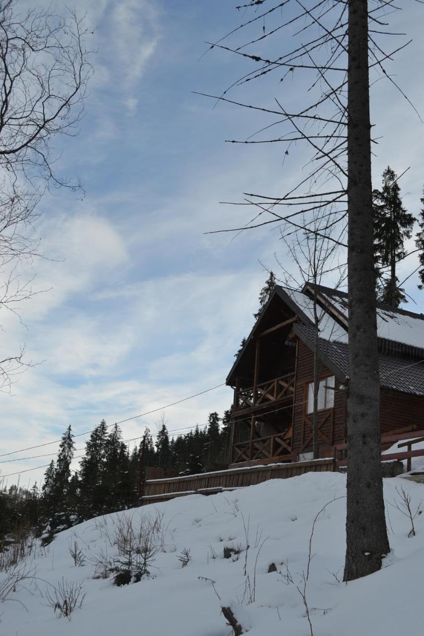 בוקובל Chalet Shepit Karpat מראה חיצוני תמונה