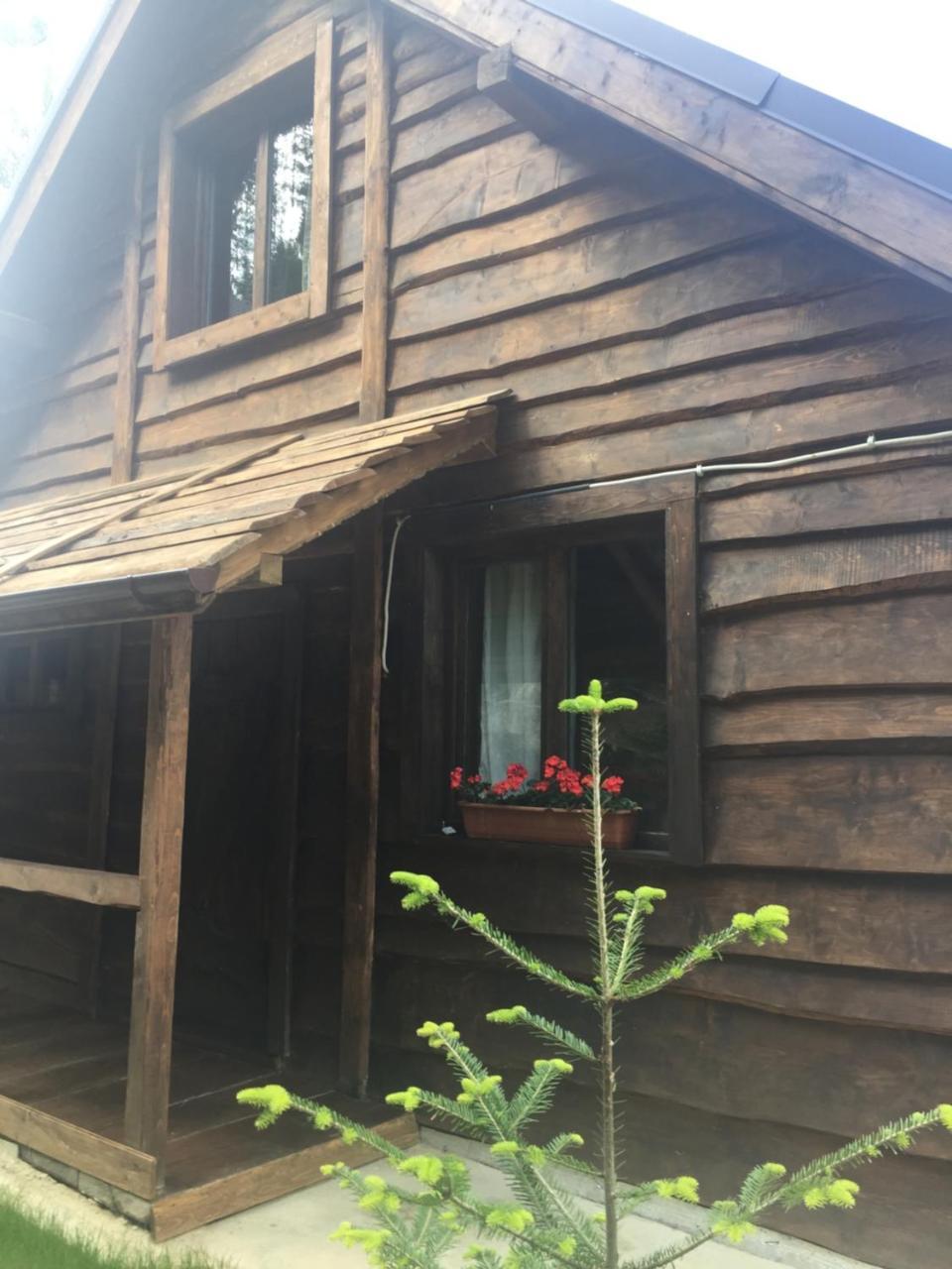 בוקובל Chalet Shepit Karpat מראה חיצוני תמונה